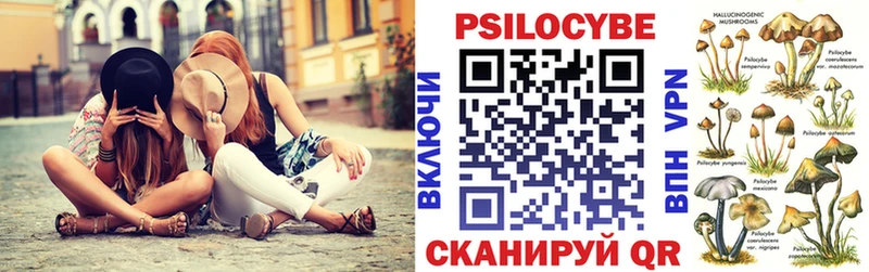 Галлюциногенные грибы Psilocybe Спас-Клепики